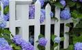 Jill Lynn Kelly Obituary April 26, 2025