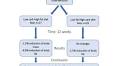 The effect of high‐fat versus high‐carb diet on body composition in strength‐trained males