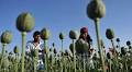 Inside the CIA’s secret mission to sabotage Afghanistan’s opium
