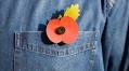 Arguing about whether or not to wear a poppy misses the most crucial point | Zoe Williams