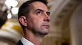 Cotton blocks Trump-backed effort to make daylight saving time permanent