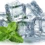 Scientists finally reveal why mint feels cold