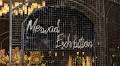 Anger on social media as anti-Qatar influencer is invited to Merwad Exhibition