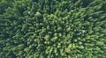 Anthropocene Epoch and Multi-Generational Legacy of Climate Change