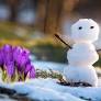 Why Everyone Is Talking About the “Fake Spring” Meme and What It Means