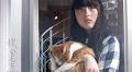 Short Film Review: Neko, Kaeru: Cat’s Home (2019) by Shinobu Imao