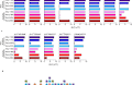 Conformational flexibility in neutralization of SARS-CoV-2 by naturally elicited anti-SARS-CoV-2 antibodies