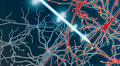 Deep Brain Stimulation Research Shows Promising Results for Treating Parkinson’s Disease