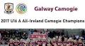 2017 U16 Championship – All-Ireland Camogie Final: Galway v Wexford