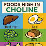 Low choline levels in the brain associated with anxiety disorders