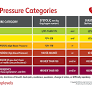 Ideal blood pressure may remodel brain clearance pathways linked to brain health, dementia