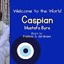 Fatima Bhutto welcomes second son Caspian Mustafa