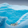 The Antarctic - an extension of Australia?
