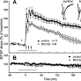 Involvement of Protein Synthesis and Degradation in Long-Term Potentiation of Schaffer Collateral CA1 Synapses
