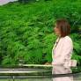 Koliko je Hrvatska daleko od legalizacije marihuane? Holy: 'Da se stavi na referendum…'
