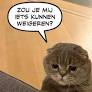 Belgian PM’s cat Maximus is social media star with ‘subliminal political message’