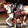 Cavalia’s risky stunts on show