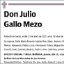 Julio Gallo Mezo