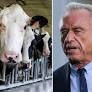 Huge amounts of extra land needed for RFK Jr’s meat-heavy diet guidelines