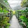Making indoor hydroponic farms profitable | FarMind Project | Results in Brief | H2020