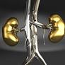 Tina Rosenberg on the Kidney Market in Iran