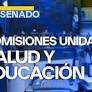 Derechos para las personas con TEA: Comisiones unidas fijan cronograma de trabajo