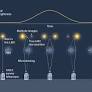 Primordial black holes are too scarce to explain dark matter