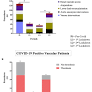Impact of the COVID-19 Pandemic on Vascular Surgery Services in a United Kingdom Tertiary Center