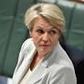 Tanya Plibersek was rebuked by NSW minister for decision to block $900m goldmine, documents reveal