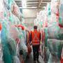Tanya Plibersek urged to intervene to stop stockpiled soft plastics from being dumped