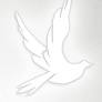 Obituary for Gregg W. McAuliffe