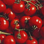 Tomatoes Recalled In 4 Southern States Due To Possible Salmonella Contamination