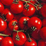 Why SA tomato prices rocketed by up to 60% in just weeks