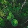 “If companies do not engage in ESG properly, they will be costed out of business”