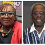 'Hawa Koomson may be controversial, but the attack was unjustified' - Dr Tony Aidoo