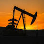 UN expert urges criminalizing fossil fuel disinformation, banning lobbying