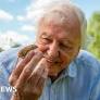 Why Sir David Attenborough wouldn't live anywhere else but London