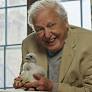 Wild London review – honestly, telly does not get any better than this