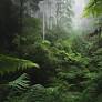 In the Green Heart by Richard Lloyd Parry review – neocolonial jungle fever
