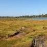 Western P.E.I. family donates 32 hectares to Island Nature Trust in honour of their parents