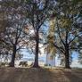 An Autumn Afternoon in Washington D.C.
