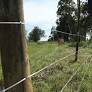 Kakuzi free to escalate Makuyu Golf club land row