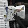 China's Global Media Influence Campaign Growing, Says Freedom House