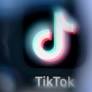 TikTok influencers’ political posts going viral in Canada as election nears, report says