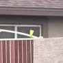 El Mirage Police, other departments respond to illegal shooting and Shannon’s Law violations on New Year’s Eve