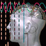 Who owns the rights to your brain?