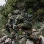 Why Hezbollah Fell