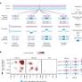 Long-molecule scars of backup DNA repair in BRCA1- and BRCA2-deficient cancers