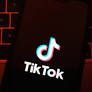 TikTok shutdown order for Canada overturned by court