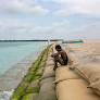 To close the climate finance gap, let vulnerable nations use carbon markets